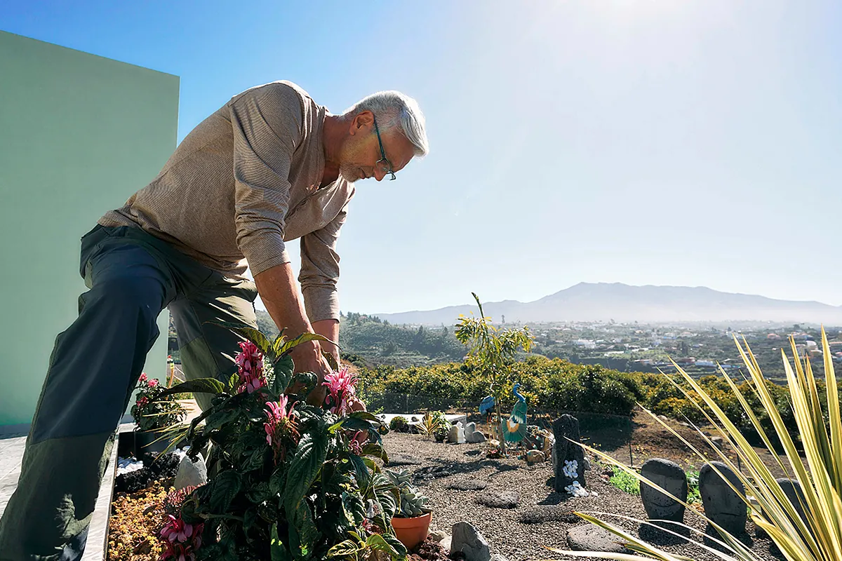 ¿todo es cuestionable?