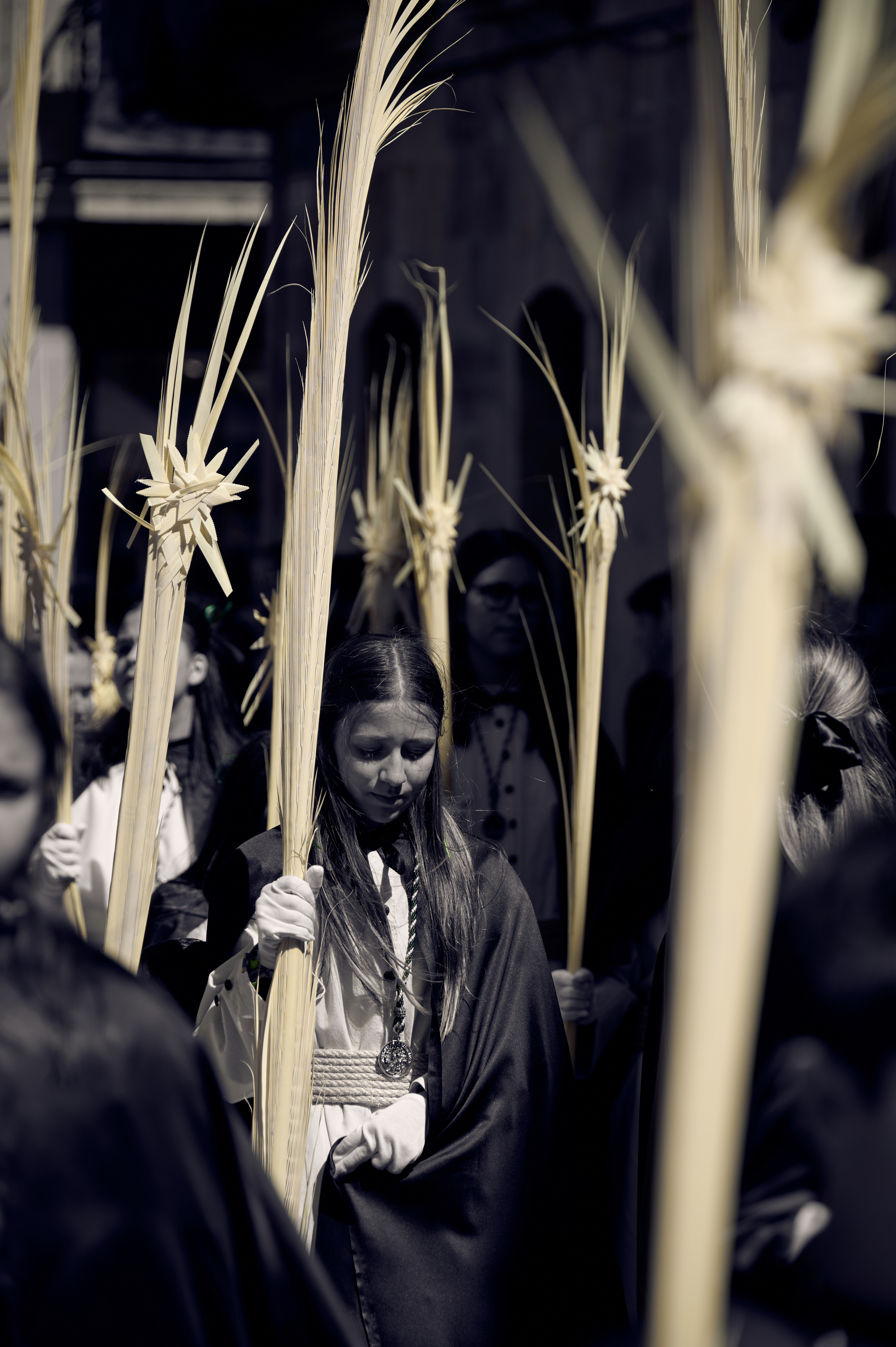 Semana Santa 2o26 , Salamanca